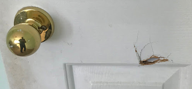 interior door hole repair Homeland